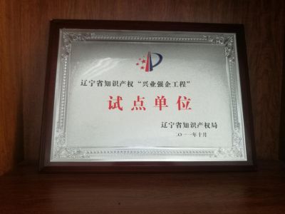 遼寧省知識產(chǎn)權(quán)‘興業(yè)強(qiáng)企工程’試點(diǎn)單位